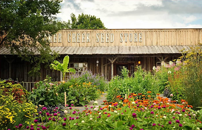 Baker Creek Heirloom Seed Store Mansfield Missouri Colorful flower gardens at Baker Creek Heirloom Seed Store in Mansfield, Missouri